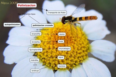 Mapa hecho por un alumno
